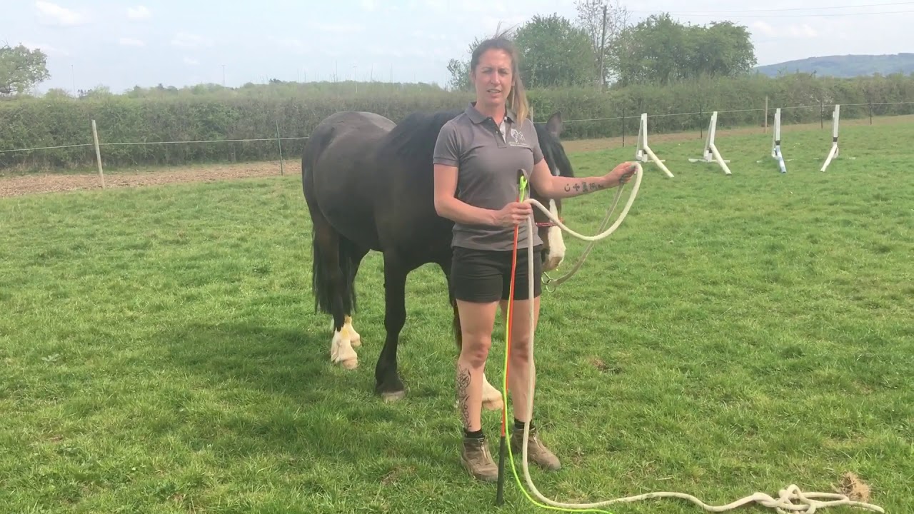 How to set up and perform the Fan of Poles exercise with your horse