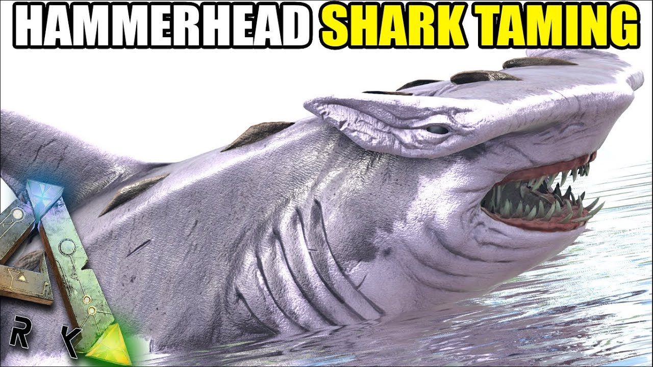 HAMMERHEAD SHARK TAMING | MYTHICAL BEASTS | ARK SURVIVAL EVOLVED [S2 EP22]