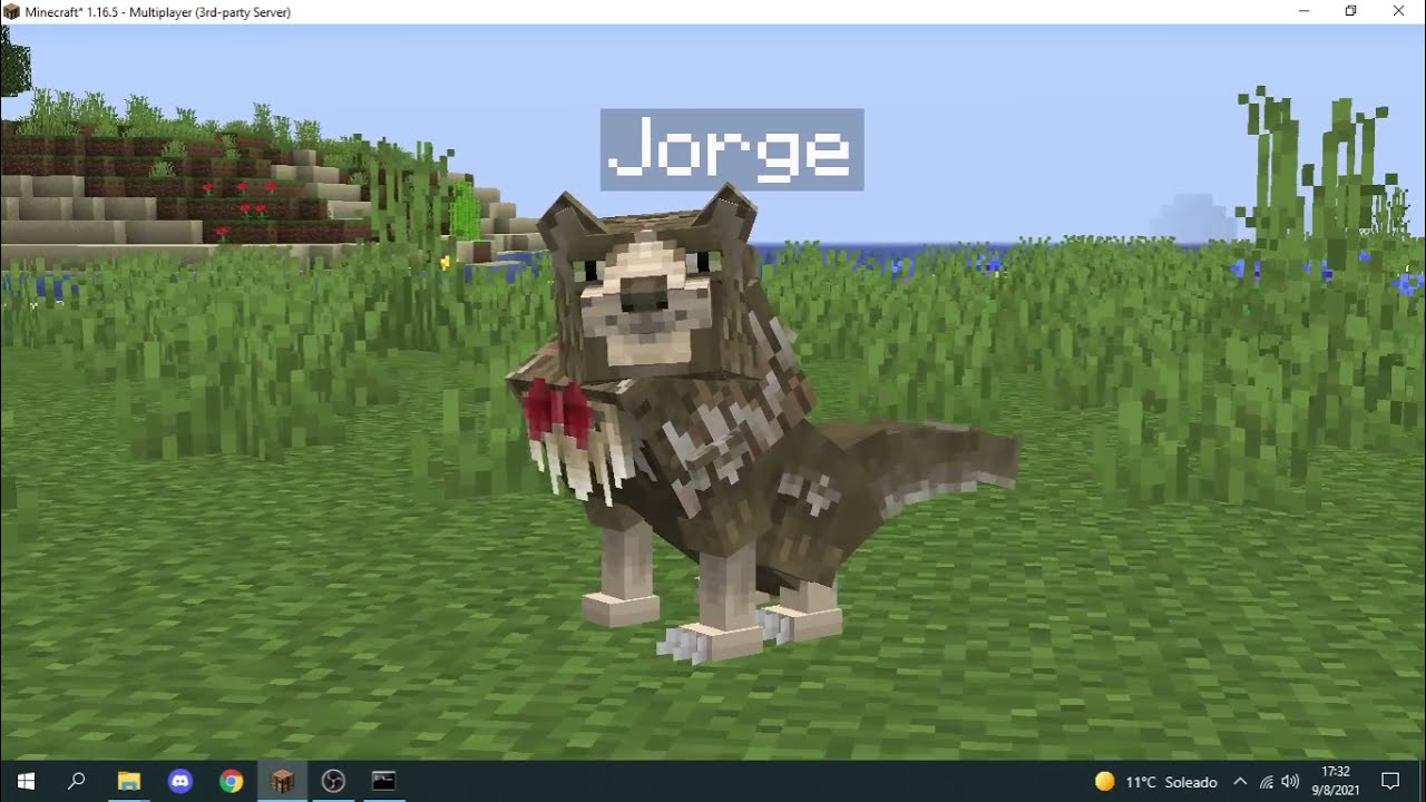 Como USAR MODEL ENGINE 2021 Minecraft