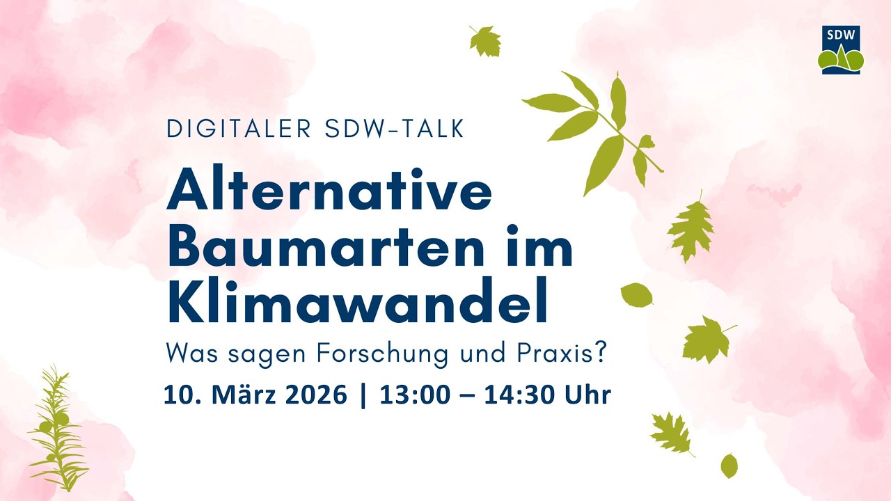Digitaler SDW-Talk 
