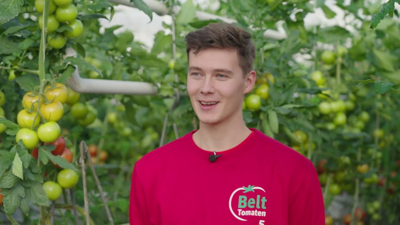 Belt Tomaten Bedrijfsvideo