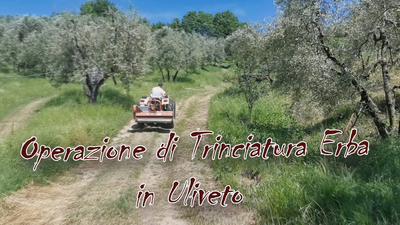 Trinciatura Erba Uliveto