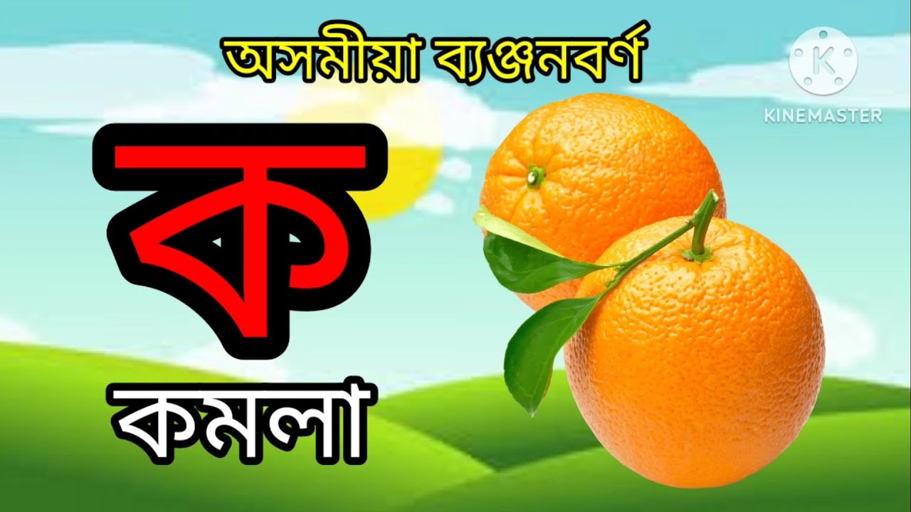 ক খ গ ঘ অসমীয়া ব্যঞ্জনবৰ্ণ । ka kha ga gha । Assamese Bornomala । ক খ গ। Assamese consonants 🍍🍎🍓🍇