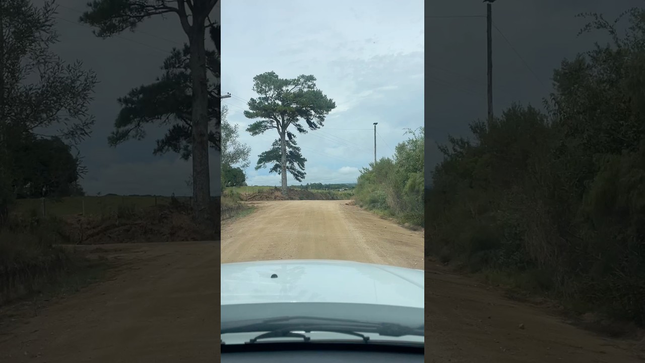 Chegando no Remanso! #travel #natureza #caminhoparaumavidamelhor