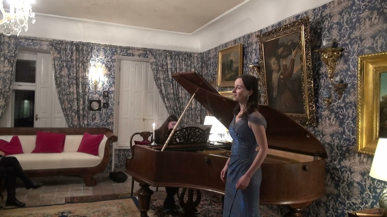 Koncert ve Dvoře Palupín