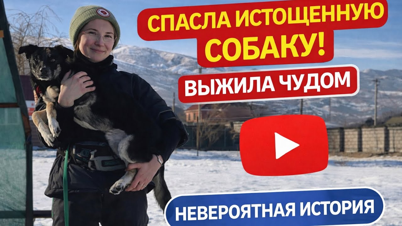 От смерти к новой жизни: невероятная история Фионы! #Легенды о псах