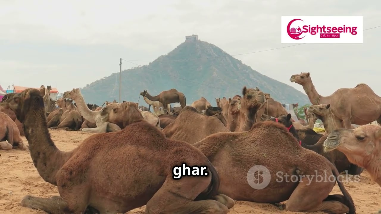 Places to Visit in Rajasthan 2025 | Best Rajasthan Tourist Attractions | Sightseeing Cab in Jaipur