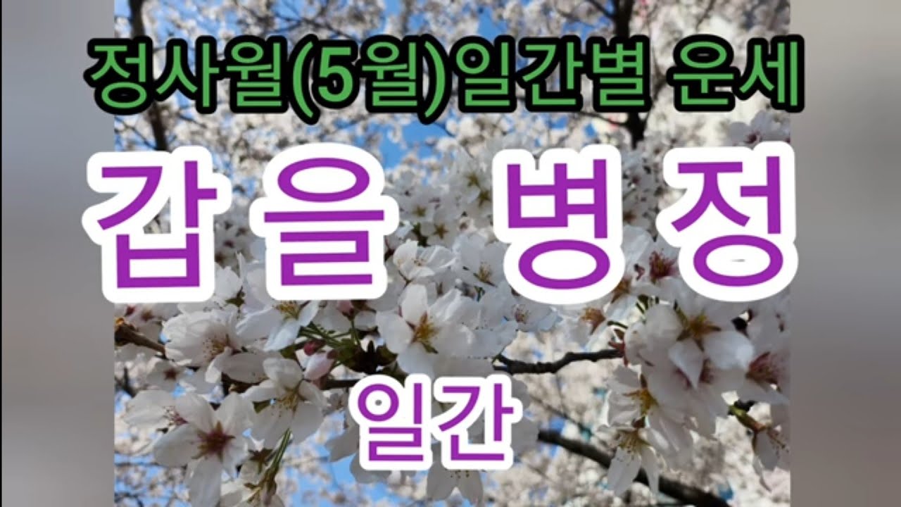 5월(정사월)일간별 운세__갑을병정 일간