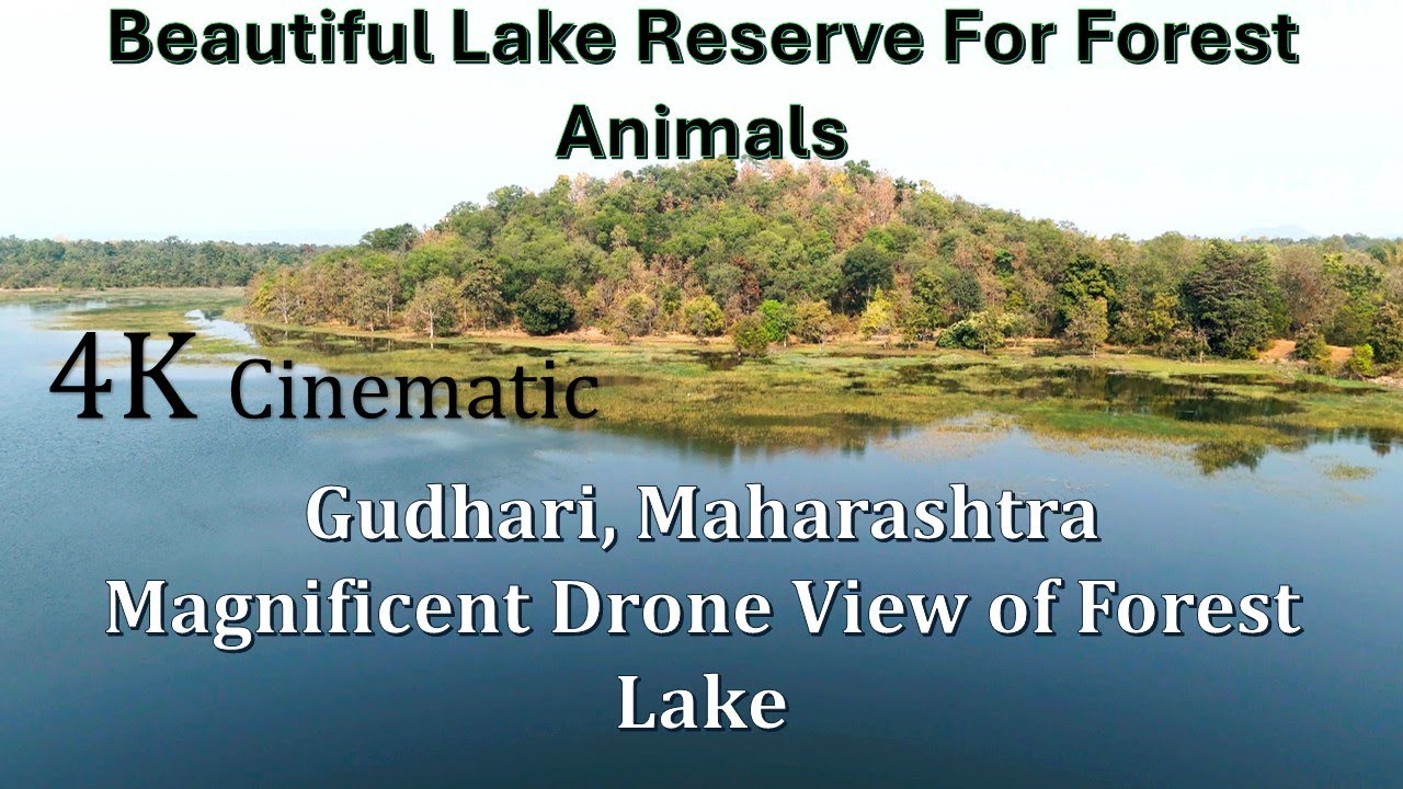 Beautiful Lake Reserve For Forest Animals | Gudhari Maharashtra | Drone View of Forest Lake