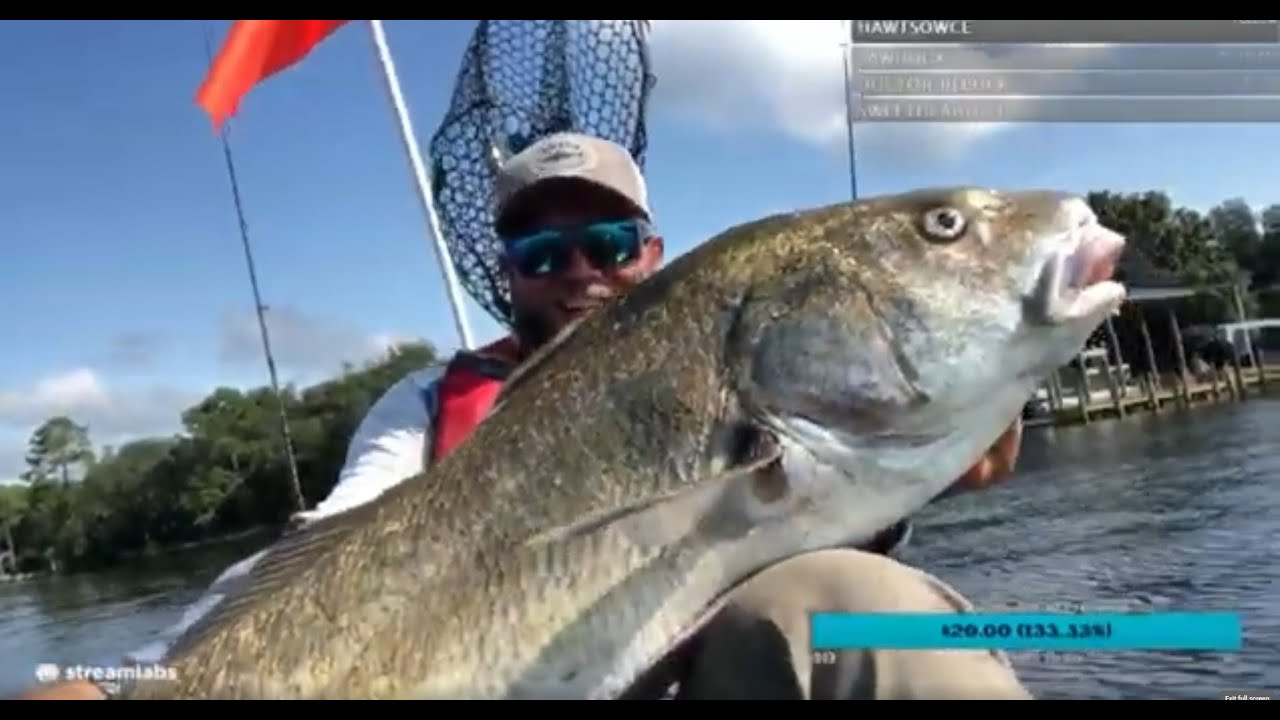 HUGEEEE 40lb Black Drum on small Jig
