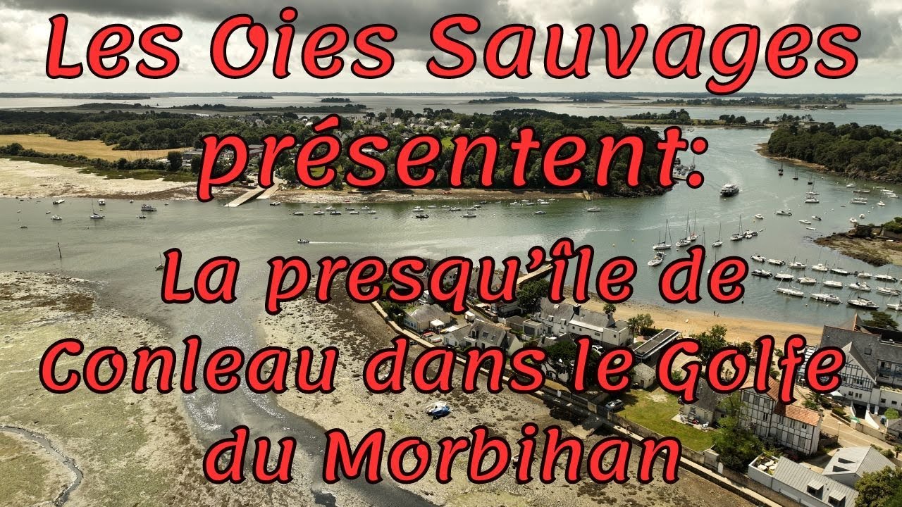 La presqu'île de Conleau, à Vannes dans le Morbihan (56)