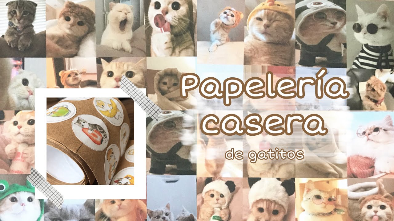Haciendo PAPELERÍA CASERA de GATITOS✨🐈‍⬛ Cat stationery🐈