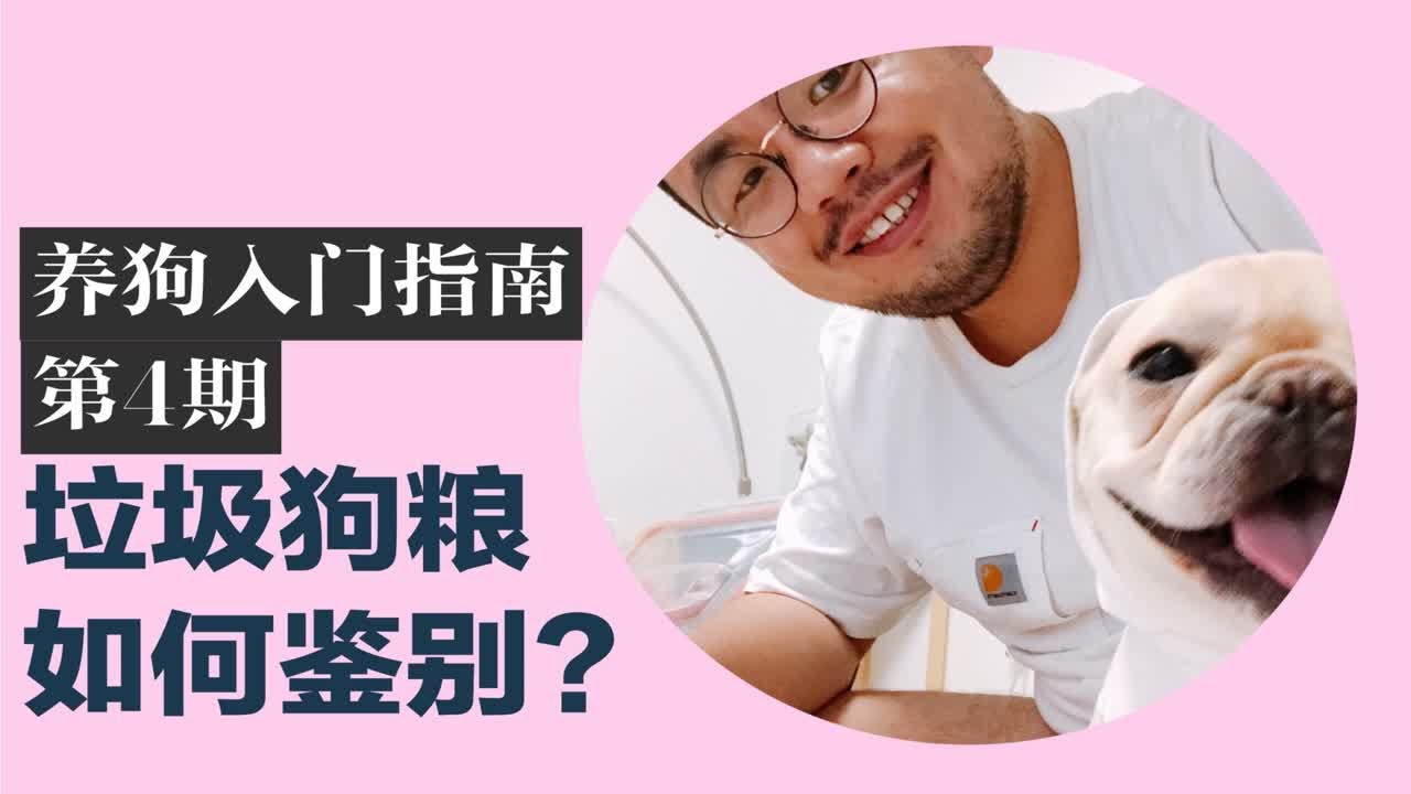 【养狗入门指南】 狗狗到底怎么吃？……刚到家，怎么吃、吃什么、怎么换粮、如何鉴别好坏狗粮……