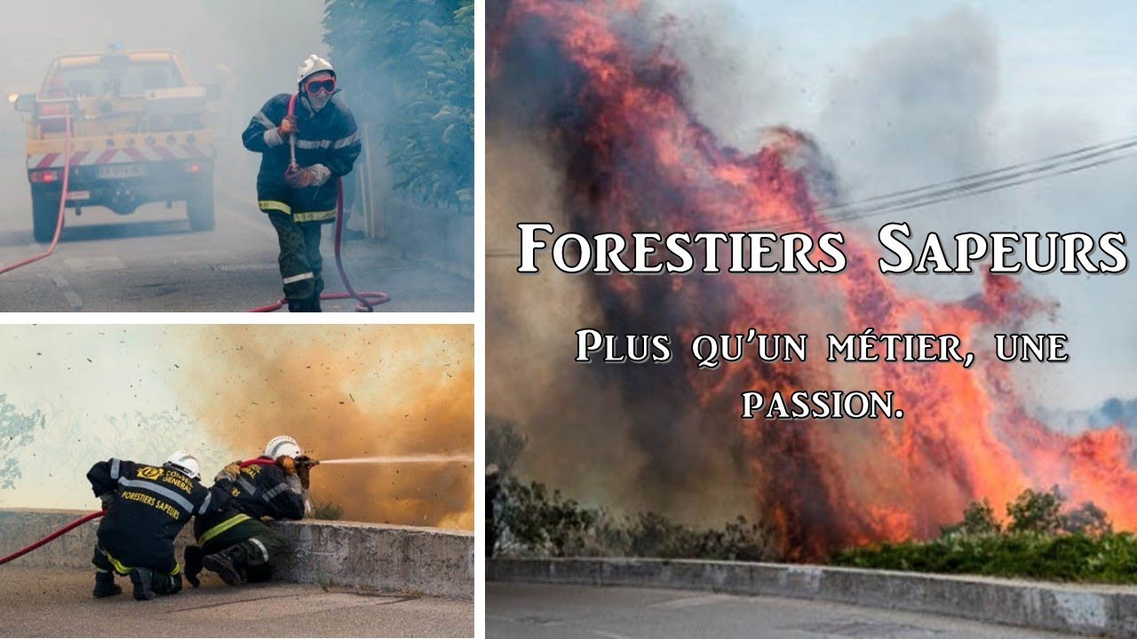 Feu de Forêt Bouche du Rhône - Forestiers sapeurs