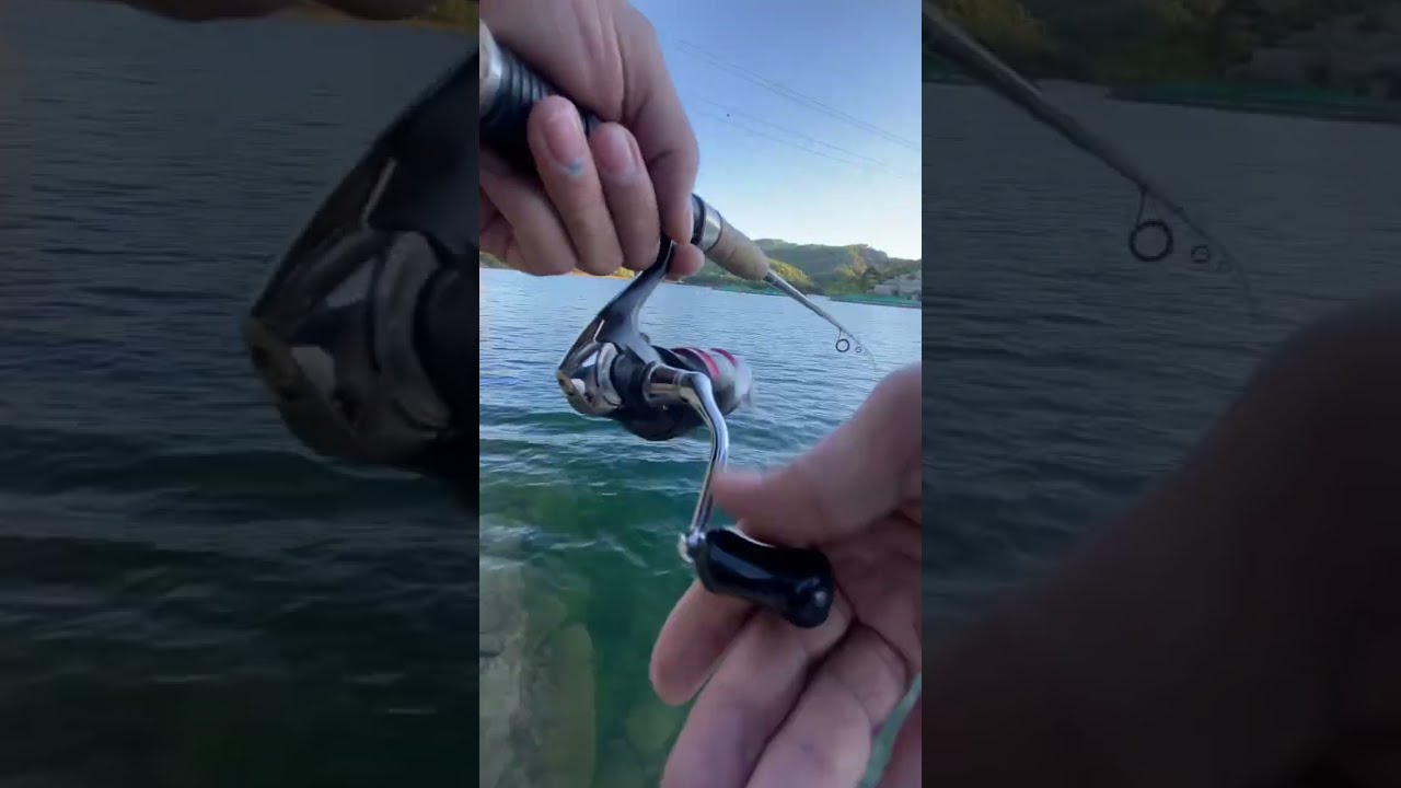 Klavuzlu Barajinda Alabalik Avi #fishing #alabalıkavı #klavuzlubaraji#ceyhan #troutfishing #trout
