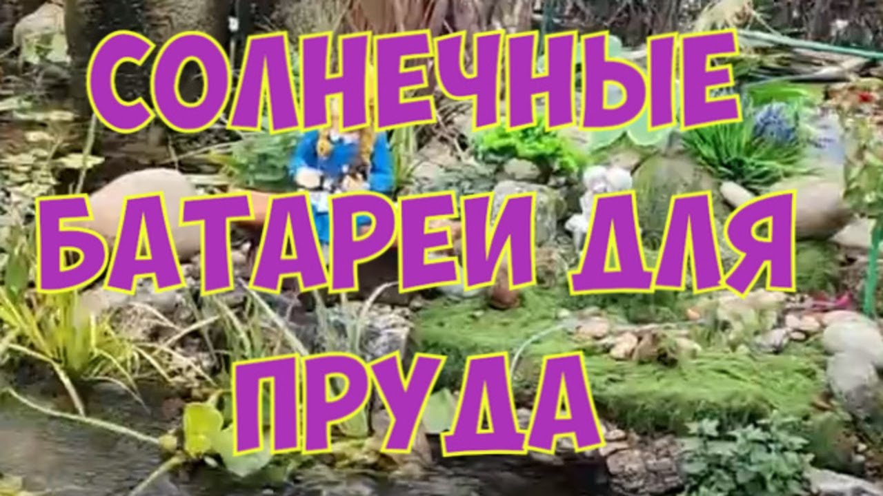 ДЕКОРАТИВНЫЙ ПРУД бЕЗ ЗАБОТ — это реально!