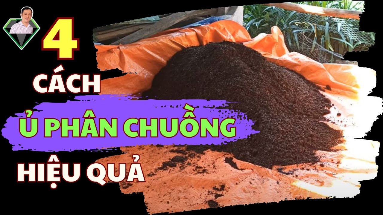 4 Cách Ủ Phân Chuồng Làm Phân Bón Hữu Cơ Hiệu Quả | Lương Hồng Sơn