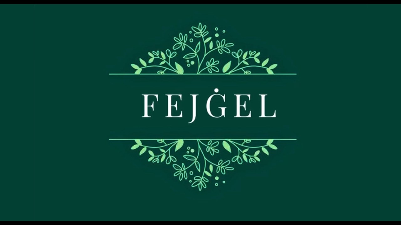 FEJĠEL – Programm 17
