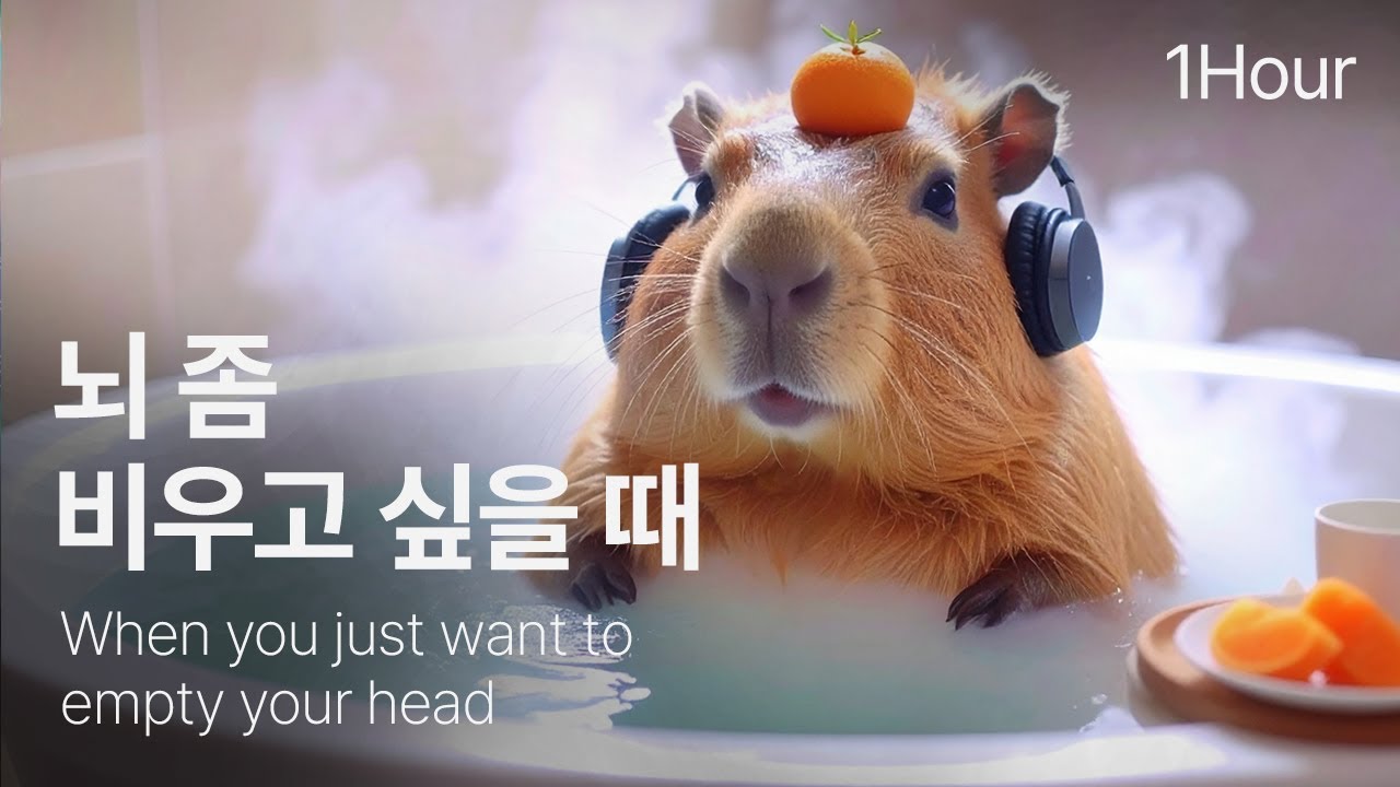 뇌 좀 비우고 싶을 때  ✨  1시간 브라운 노이즈(Deep Sleep &  Brown Noise)