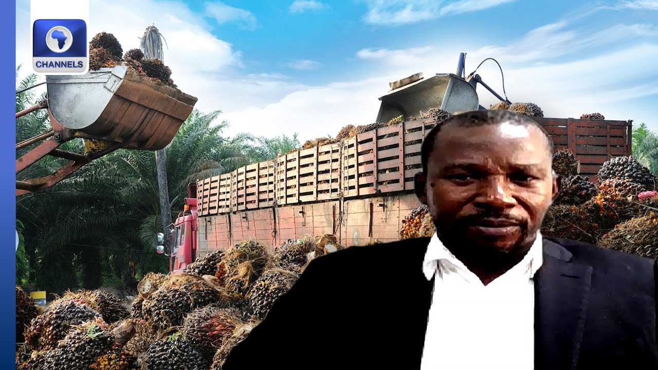 Palm Oil Price In Nigeria Hits ₦40K Per 25 Litres