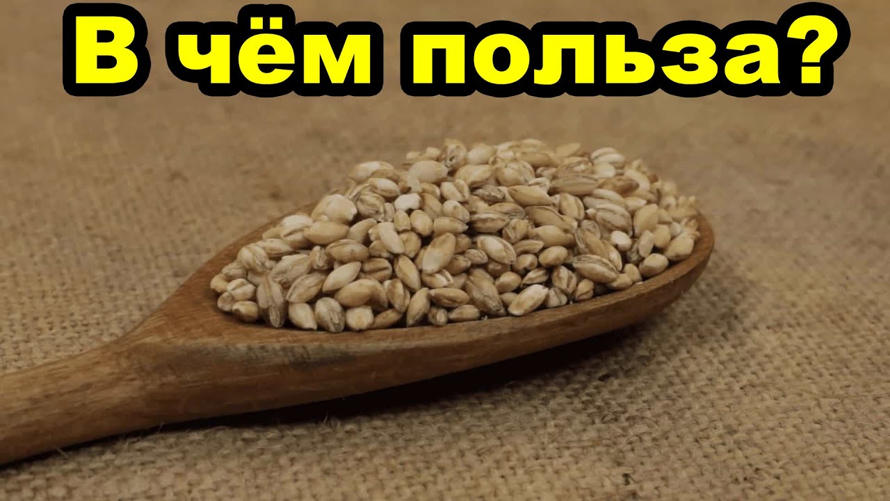 В чём польза ячменя для организма человека?