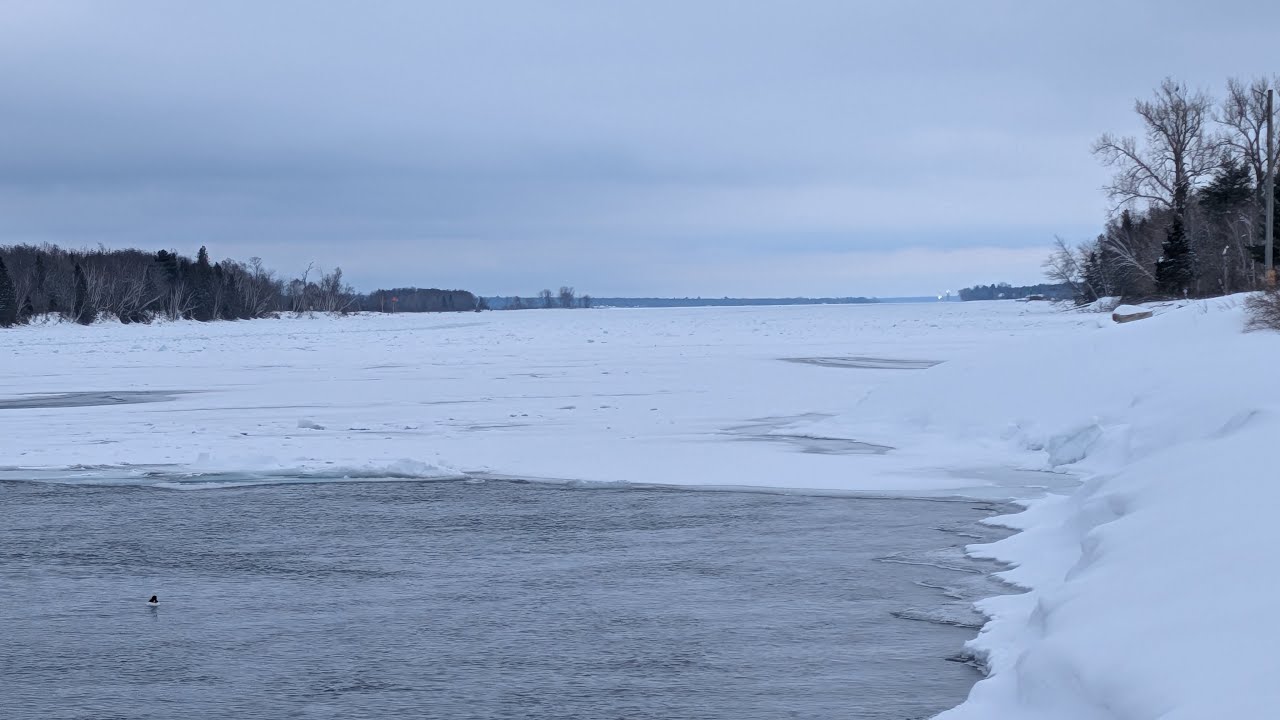 Live from a very frozen Rotary Park in Sault Ste Marie!