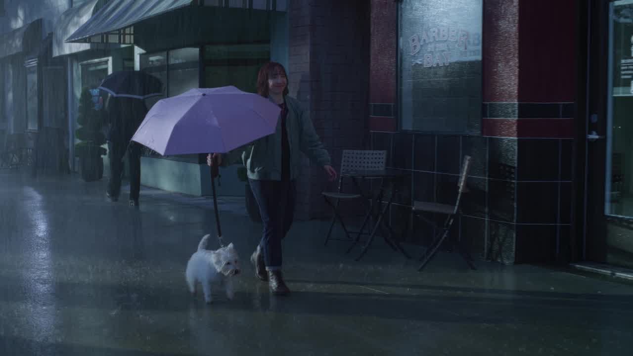 CESAR® - Umbrella