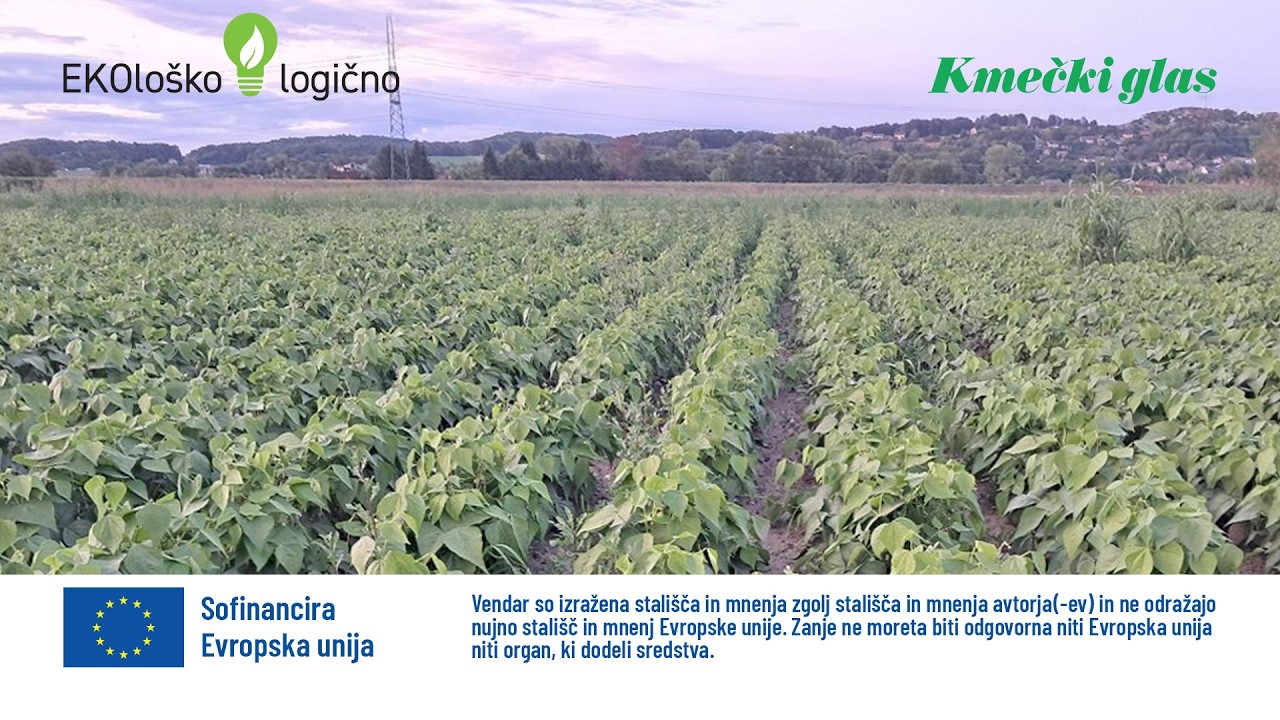 EKOloško = logično: kmetija ZEL