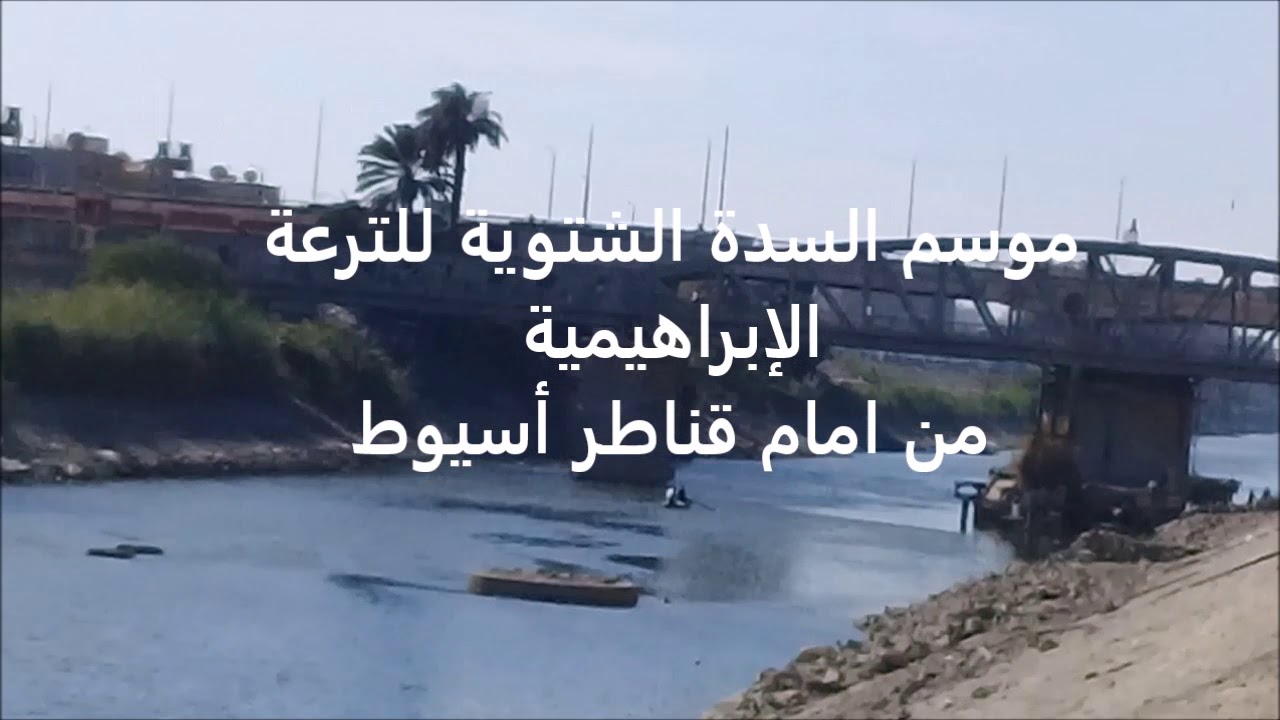 موسم الصيد النيلى و السدة الشتوية فى مصر