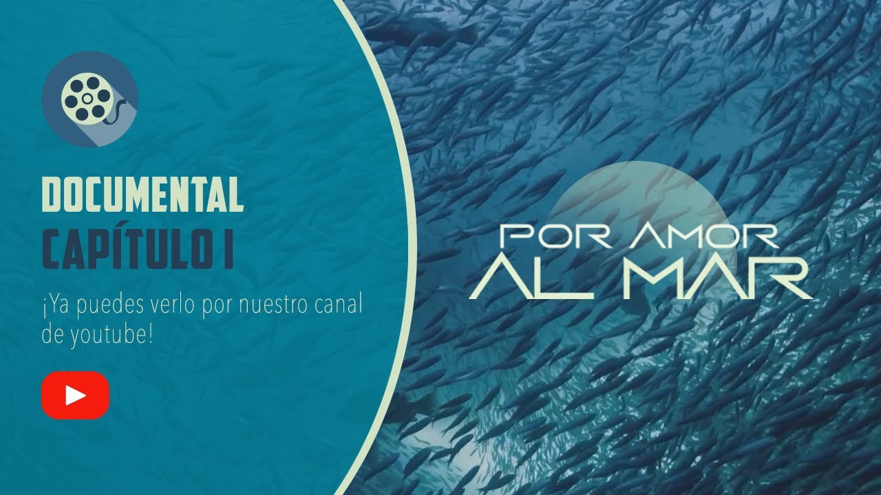 Por Amor al Mar: La Corriente de Humboldt | Cap. 1