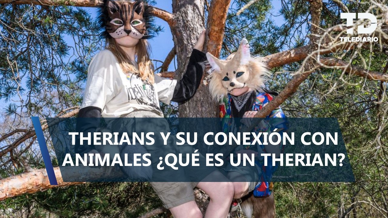 ¿Mi hijo dice que es un lobo? Guía para padres sobre el término viral 'therian' en 2026