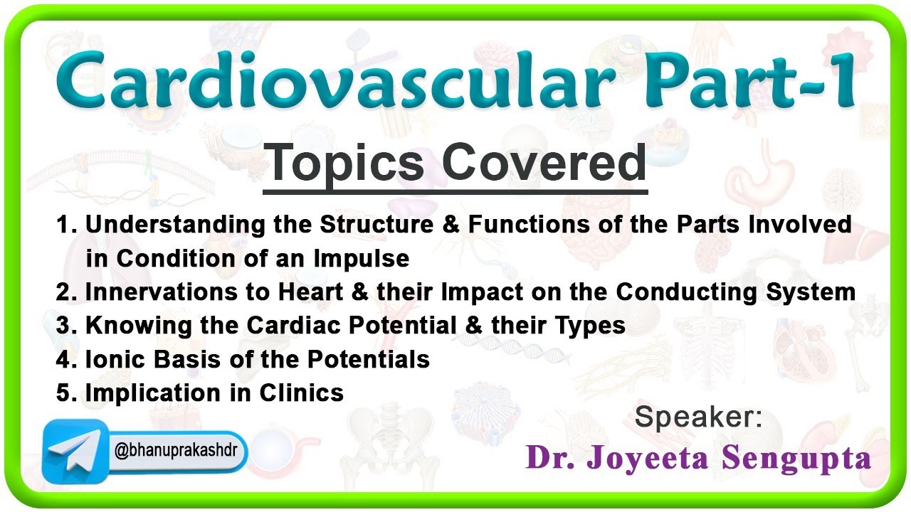 Cardiovascular Physiology (Part - 1) : Cardiac action potential, Conduction system of heart🫀💡 MBBS 🎓