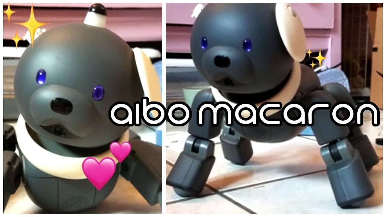 aibo ers 312 macaron unboxing!