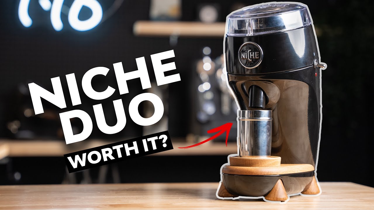 ОБЗОР NICHE DUO — Легендарный или запоздалый?