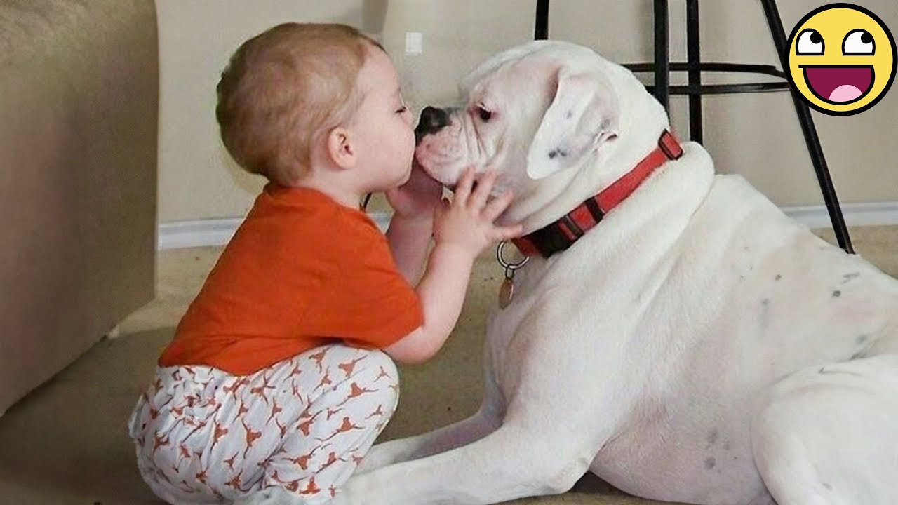 You’ll Fall In Love With This Baby and His Dog Best Friend! ❤️🐶