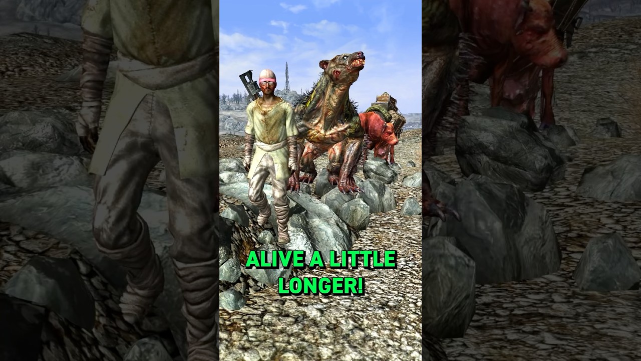 Прирученный Яо Гуай в Fallout 3