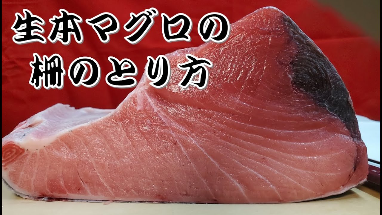 【生本マグロ】鮪の柵取りの仕込み方 豊洲市場より　How to fillet tuna block 創業100年よろい寿司 鮪魚