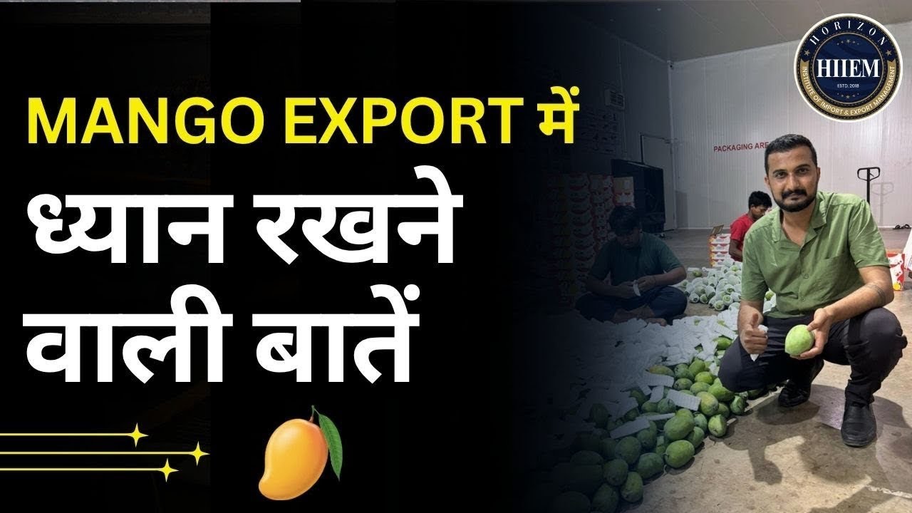 Mango Export Secrets 🔥 Things You MUST Know Before Exporting By Sagar Agravat 