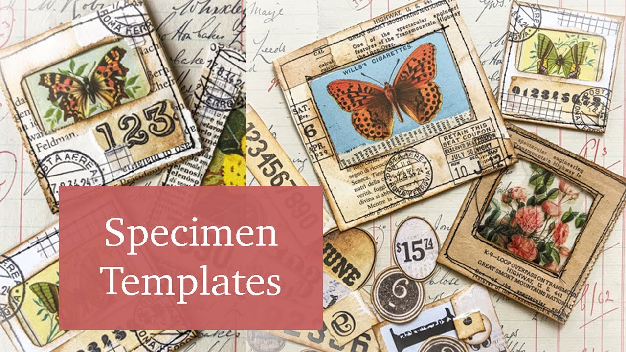 How to make Specimen TEMPLATES | JJ#209
