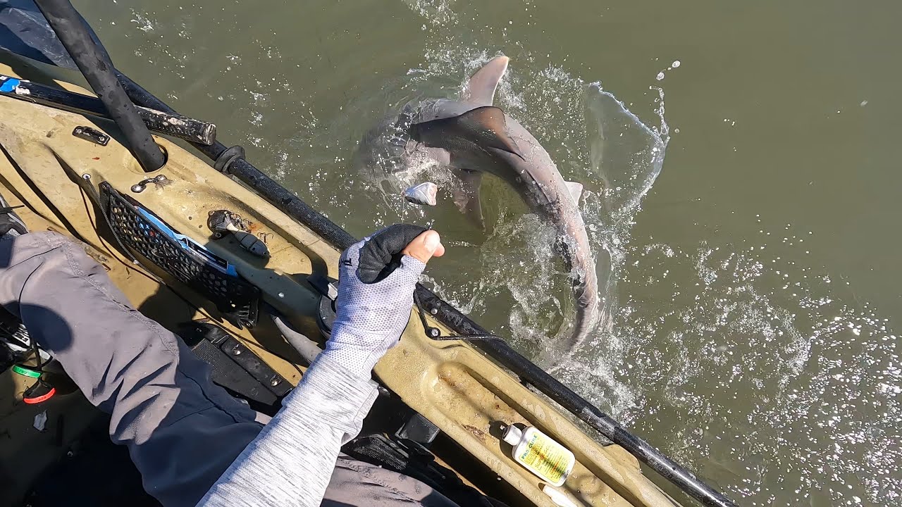 Saltwater inlet fishing in Charleston