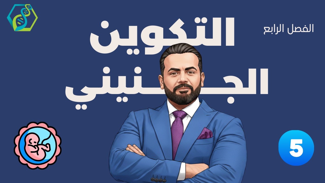 الفصل الرابع/ التكوين الجنيني/  المحاضرة الخامسة ( التوائم ، المباعدة بين الولادات ، الخلايا الجذعية