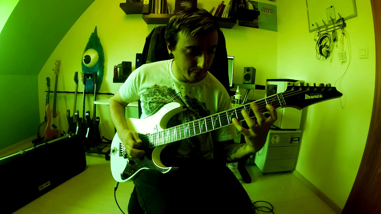 THOUSAND OAKS - Echoes of a dreadful past ♫ Guitar Cover Alexis Devaux♫ (with tab)