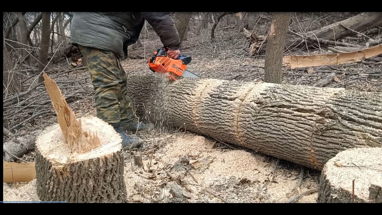 PATRIOT GS 126 В ОДНУ РУКУ