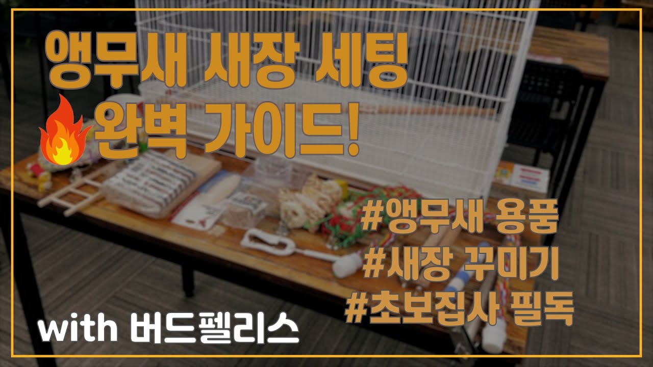 Базовое руководство по обустройству клетки для попугая! #Parrot #ParrotCage #CageDecoration