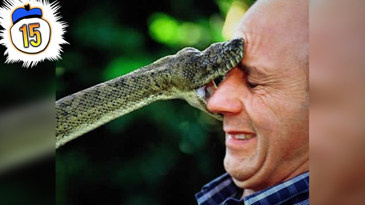 15 Most Poisonous Animals Ever