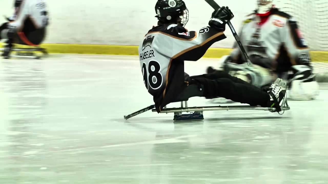 Ice Sledge Hockey
