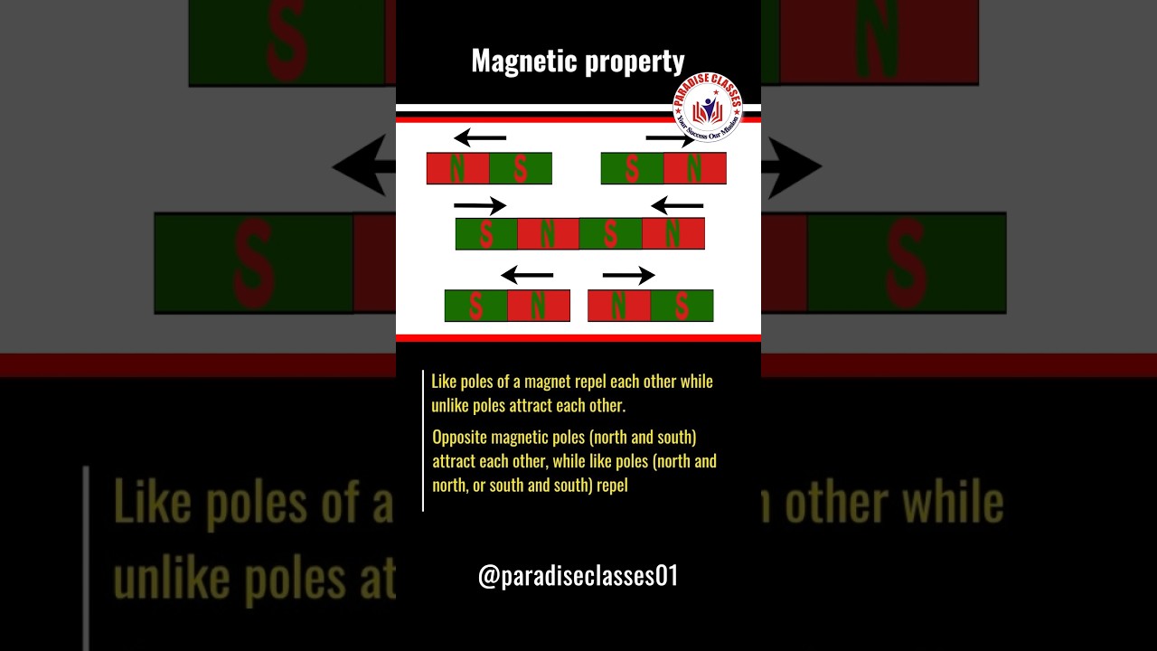 Magnetic Properties of Magnets | Class 10 Physics | Paradise Classes