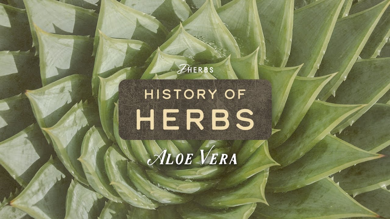 Does aloe vera have beneficial effects for diabetics? #naturalremedy