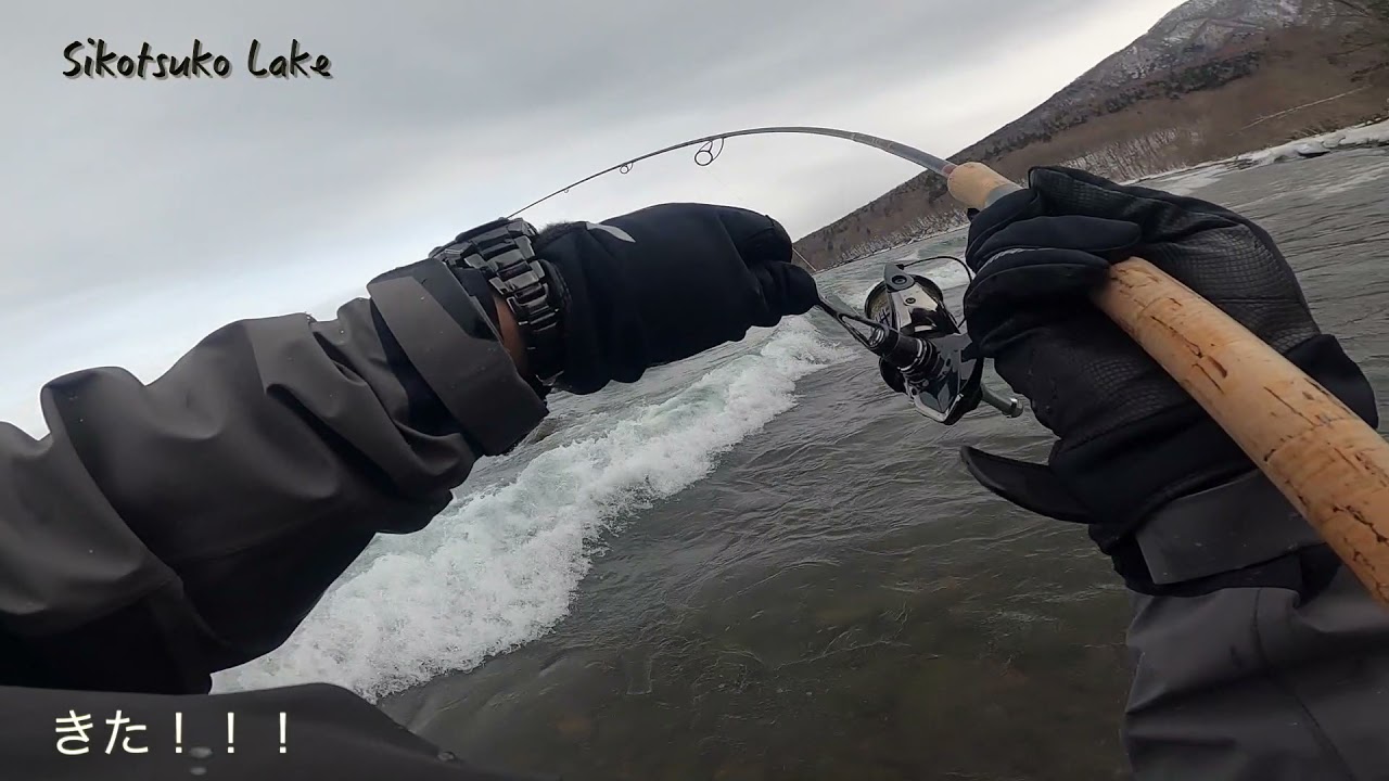 【超高活性】水面を割った支笏湖ブラウン
