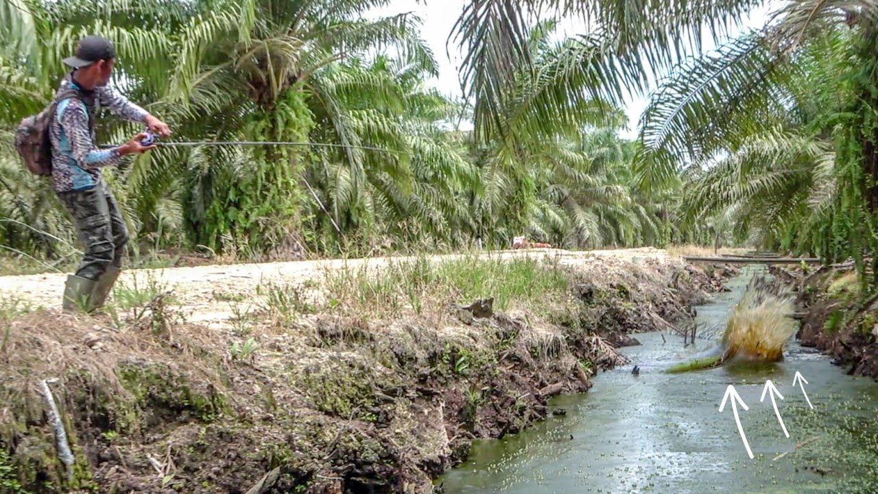 REZEKI NOMPLOK !!! Dapat Spot Full Bujuk Pemancing Jadi Bahagia 😂😂😂